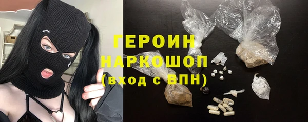 крисы Новодвинск