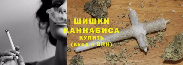 скорость Новозыбков
