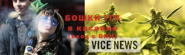 крисы Новодвинск