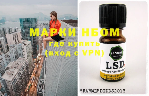 крисы Новодвинск