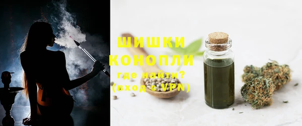 крисы Новодвинск