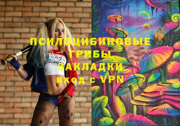 крисы Новодвинск