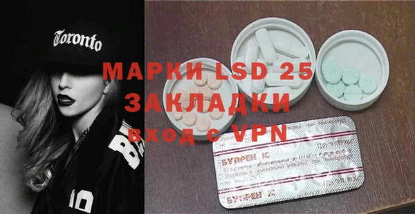 крисы Новодвинск