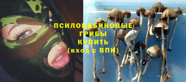 скорость Новозыбков