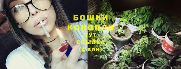 скорость Новозыбков