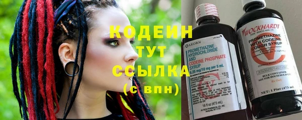 крисы Новодвинск