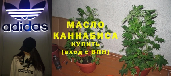 скорость Новозыбков
