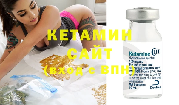 крисы Новодвинск