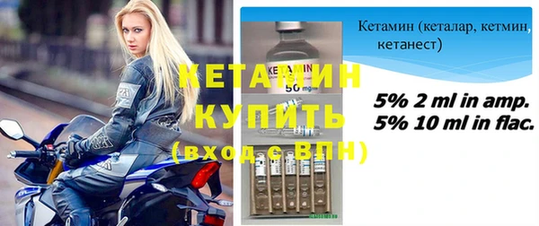 крисы Новодвинск