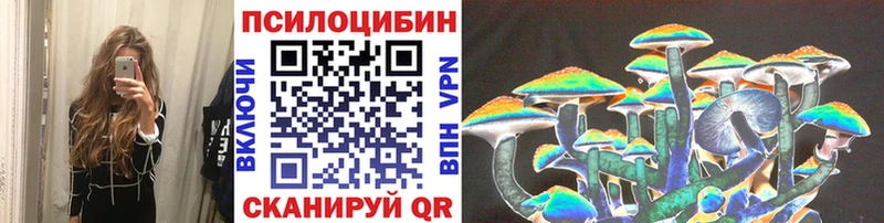 Псилоцибиновые грибы прущие грибы  Фокино 